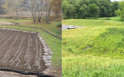 Wetland Mitigation