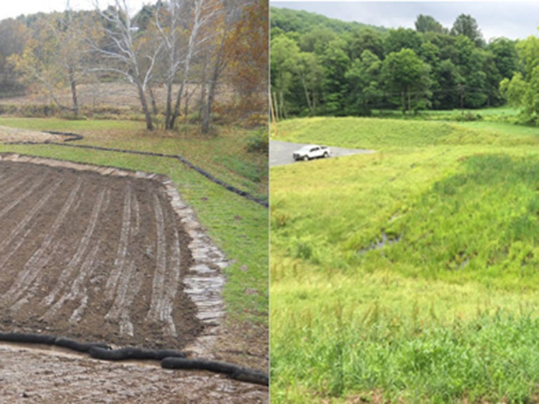 Wetland Mitigation