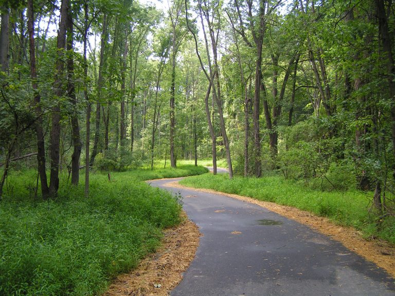 Nature Trail Survey and Construction